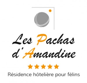 les-pachas-logo-complet-150dpi-rvb